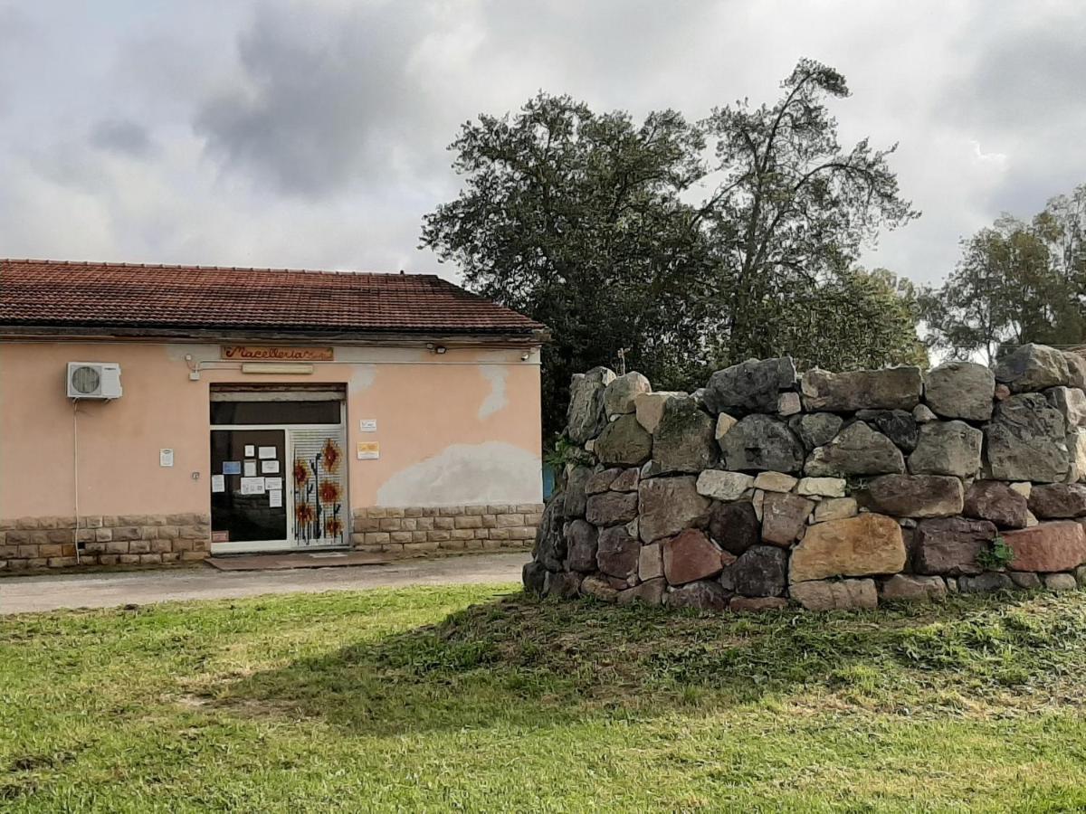 Agriturismo Agrifoglio San Giovanni Suèrgiu エクステリア 写真