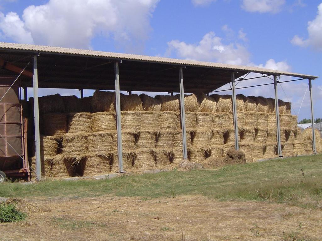 Agriturismo Agrifoglio San Giovanni Suèrgiu エクステリア 写真